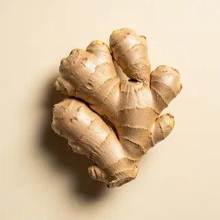 A whole, knobby ginger root with pale beige skin