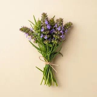 A small bundle of hyssop herb with green stems and small purple-blue flowers, tied with twine