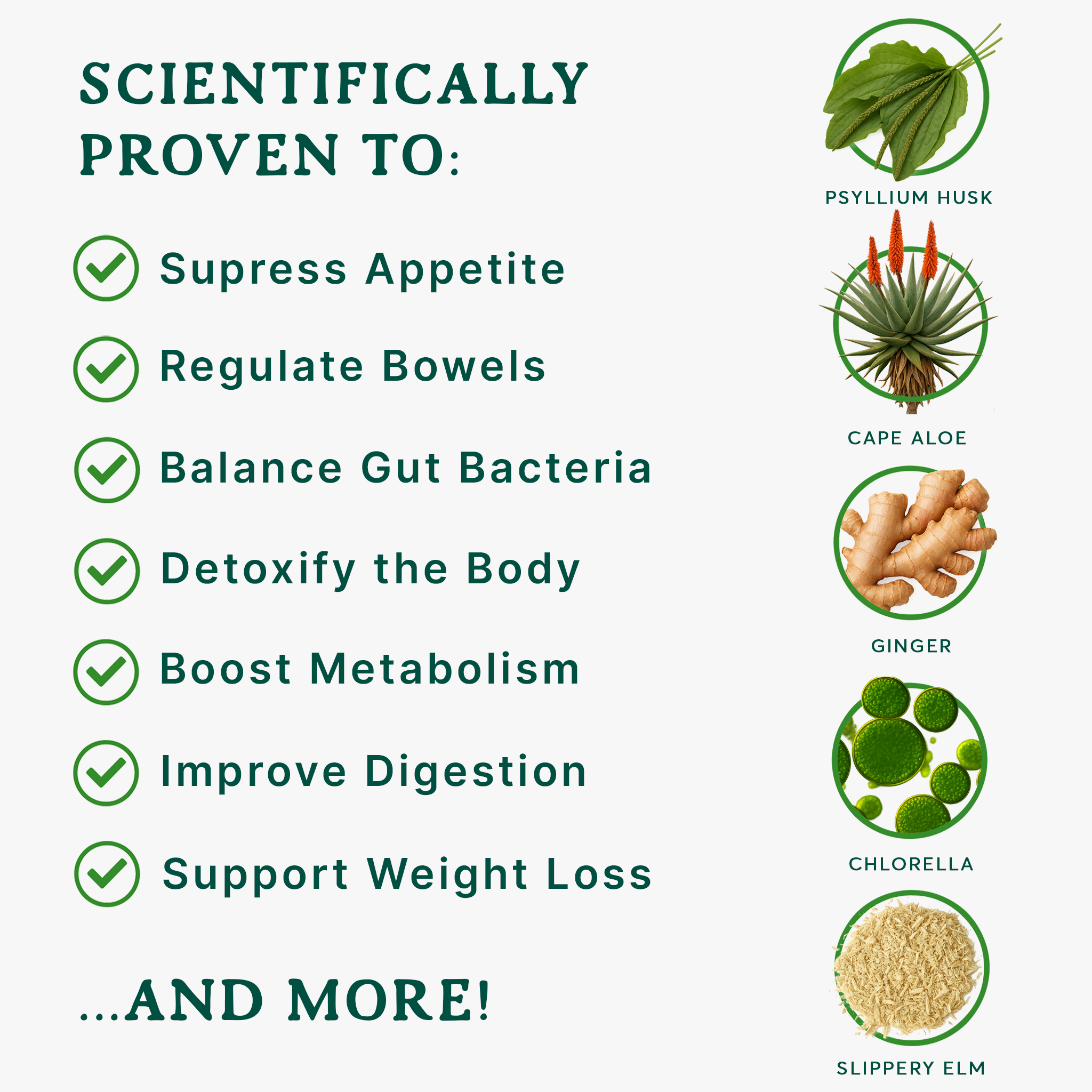 Psyllia® Gut Health™ | For Bloating, Digestion and Cravings