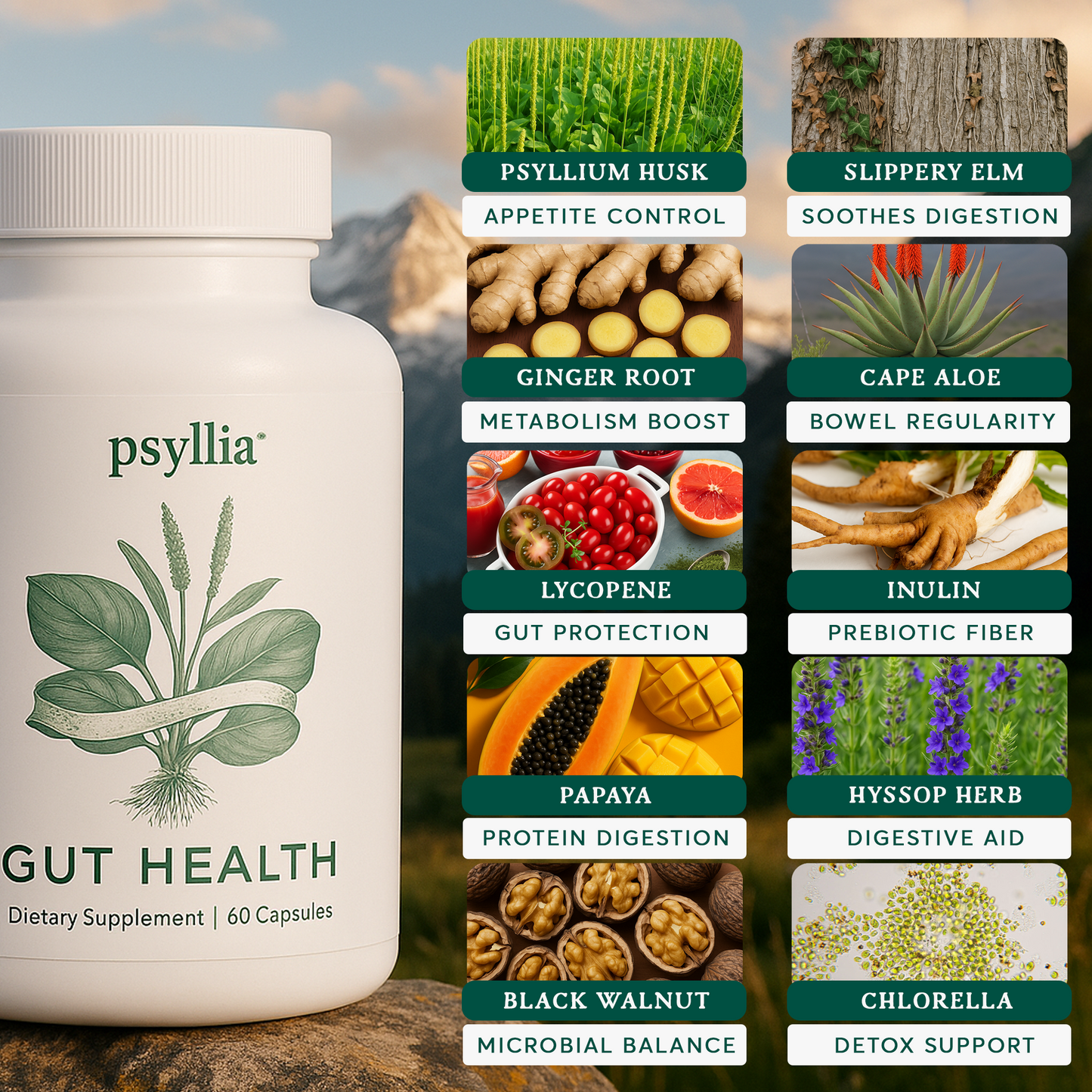 Psyllia® Gut Health™ | For Bloating, Digestion and Cravings